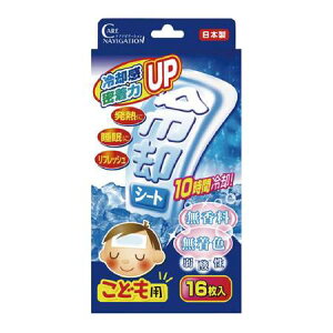 / Gy݌ɌzMpV[g@qp@16/