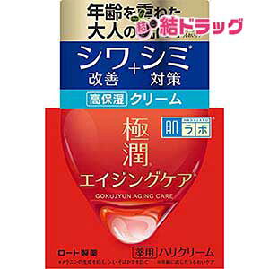 { ɏ pnN[ y򕔊Oiz  50 O