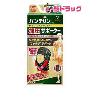 oeR[T|[^[ Ђp ubN ӂ MTCYyOZ[z