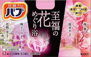 yyVX[p[SALE聙XܑSi|Cg10{/vGg[z oủԂ߂藁12