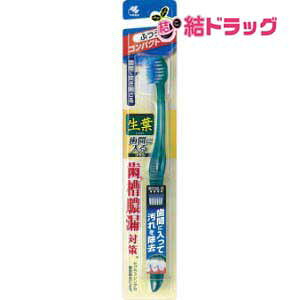 y20JnGg[P10{z t ԂɓuV RpNg ӂ(1{)