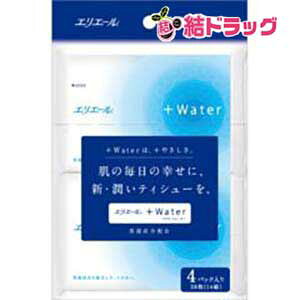 GG[ vXEH[^[(+Water) eBV[ |Pbg(4RpbN)