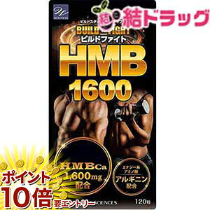 y20JnGg[P10{z 񂹏i rht@CgHMB2100 120/@