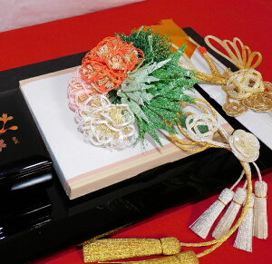 ՉԏiƂ˂͂Ȃj [i [Zbg RpNg[ [ 傫60cm IS[Δt џt LWt t  莩А ژ^MkT[rX 