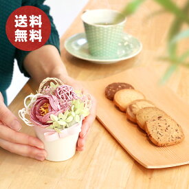 楽天市場 花 スイーツ セット 送料無料 花 観葉植物 花 ガーデン Diy の通販