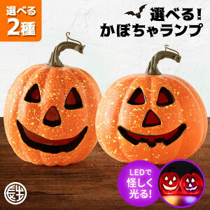 nEB  ڂ v nEB 15cm Halloween ObY pvL S[Xg bLO D u  fBXvC p[eB[ fR[V  O