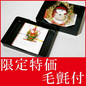 お買い得 結納セット 結納 略式 結納品 指輪メインの結納品 みらい指輪セット目録付 毛氈 (赤)付 送料無料 結納 結納セット .結納品. 顔合わせ 顔合わせ食事会