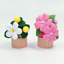 楽天市場】ちりめん 桜 橘の通販