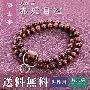  jp y@ p  ԌՖڐ i؞V[ j   Tt  O O ジ Mtg @  V [ ..