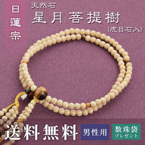 yyVX[p[SALE50OFFz  jp @@ p  iՖڐΓj i؞V[ j   Tt  O O ジ Mtg @  V 