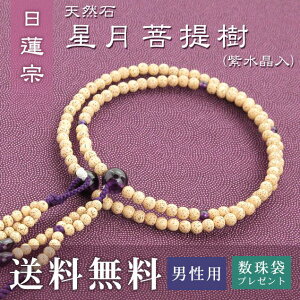 yyVX[p[SALE50OFFz  jp @@ p  ij i؞V[ j   Tt  O O ジ Mtg @  V 