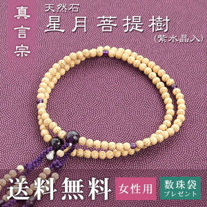 yyVX[p[SALE50OFFz  p ^@ p  ij i؞V[ j   Tt  O O ジ Mtg @  V 