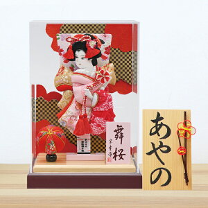 Hq RpNg 킢 ~jTCY  AN P[X   27.5cm 菑  ؎D Tt  Hq HqP[X ߋ ̎q C .Hq.