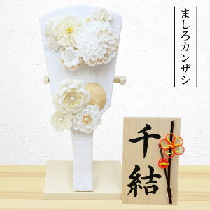 Hq RpNg 킢  ~jTCY  ܂납񂴂 t Hq̍21cm 菑  ؎D Tt  Hq HqP[X ߋ 