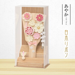 Hq RpNg 킢  ~jTCY  AN P[X ₩ i` 28cm 菑  ؎D Tt Hq HqP[X ߋ ̎q 