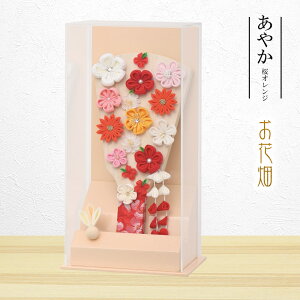 Hq RpNg 킢  ~jTCY  AN P[X ₩ IW 28cm 菑  ؎D Tt Hq HqP[X ߋ ̎q 