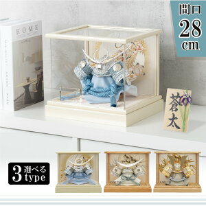 ܌l` RpNg  _  t؎DEFIׂѕMꖳT AN pm} P[X Ԍ28×s24×25cm Ⓜ㐙  Ԃ ߋ [