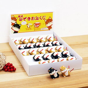   Ck  u fBXvCZbg  ݂ ̂ČZbg 25 4cm ؎DTt 킢  RpNg ObY N IuWF CeA  .u.