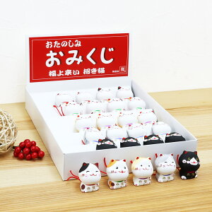 L lR ˂ u fBXvCZbg  ݂ 旈LZbg 25 5.5cm ؎DTt ^ J^ Abv ObY 킢  RpNg ObY N Iu