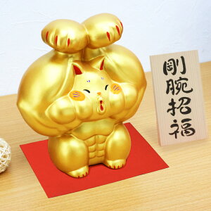 L lR ˂ u  r܂叵L 菵  ^ J^ Abv ObY 20.5cm ѕM؎DTt 킢  RpNg ObY IuWF CeA  .