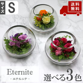 楽天市場 ガラス細工 植物 花 ガーデン Diy の通販