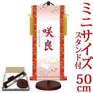 l| | ߋ薼|EO ~ g˂ 21cm×c50cm TCYy50zpX^htyz g6527 YTG-010 l  Ђȗl ЂȍՂ Ղ ̐ߋ 