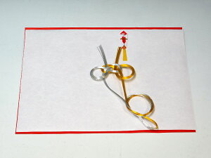 򌣎p ␅y^Cv 2EዾznZbg