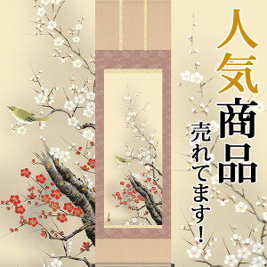 掛軸 掛け軸 春用 四季花鳥 梅に鶯 清水玄澄 尺五立 約横54.5cm×縦190cm【送料無料】 b315-20 春 春掛 春掛け 花鳥 うぐいす ウグイス 吉祥 和室 和 床の間 和風 お祝い 御祝 贈答 贈り物