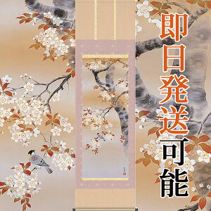 | | tp lGԒ Ԃɏ ߓm ڌܗ 54.5cm×c190cmyzd8515 t t| t| Ԓ TN a a ̊ a j j  蕨