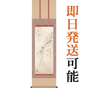 | | tp  x ڎO 44.5cm×c164cm g4148 t t| t| Ԓ TN a a ̊ a j j  蕨