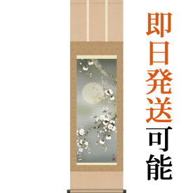 掛軸 掛け軸 春用 夜桜 緒方葉水 尺三立 約横44.5cm×縦164cm g4149 春 春掛 春掛け 花鳥 サクラ 和室 和 床の間 和風 お祝い 御祝 贈答 贈り物