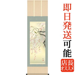 | | tp  XRό ڎO 44.5cm×c164cm g4565 t t| t| Ԓ TN a a ̊ a j j  蕨