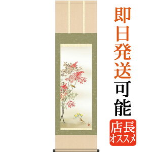 | | ~p V kR ڎO 44.5cm×c164cm g4597 ~ ~| ~| Ԓ    N a a ̊ a j j  蕨