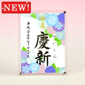 楽天市場 命名書 あじさいの通販