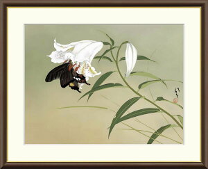 [q S yF8/F6/F4TCYziREtbNtj {̖ F8E61×c49.5cm F6E52×c42cm F4E42×c34cmyCeAA[g(zG) `̓{zg8481 g8482 g8483 J2-058 z A[g 