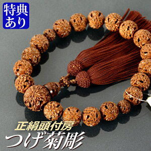  O ed [i˔tjyijpj/Oz