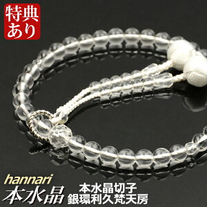  O hannarii͂Ȃj{ {؎qd Vo[OvV[i˔tjyipjz