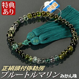  O iiju[g}i݂jd tӖ[i˔tjyipjz 10̒a