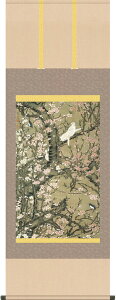 | | ԏא} ɓt ڌ܂ǂ 54.5cm×c150cm g6223 KZ3G9-037 {  j j  蕨