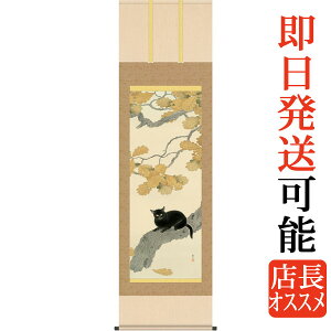| | L Hct ڌܗ 54.5cm×c190cm g6256 KZ3G9-117 {  j j  蕨