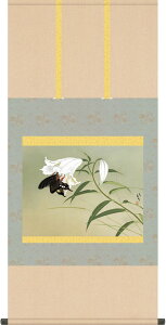 | | S [q ڌ܉ 54.5cm×c115cm g7016 KZ5G9-166 {  j j  蕨