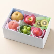 楽天市場】ホワイトココ（フルーツ・果物｜食品）の通販