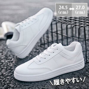 Xj[J[ Y IbNXtH[hV[Y JWA EH[LO C C AEghA ʊw ʋ t H