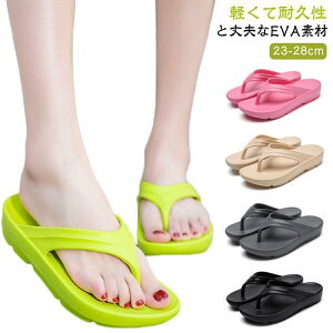 T_ Y fB[X X|[cT_ r[`T_ RtH[gT_ X|[c Y fB[X jZbNX  T_ 