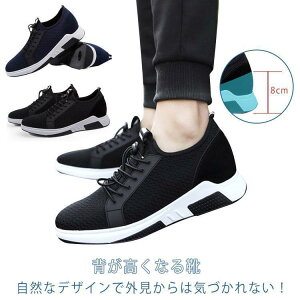 Cq[Xj[J[ Y Xj[J[ V[NbgV[Y 8cmgAbv  wȂC EH[LOV[Y ^C X|[c JW