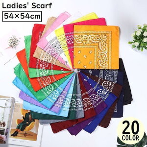 XJ[t fB[X 54cmp ` lp XNGA obOXJ[t o_i yCY[  蕨 ̓Mtg