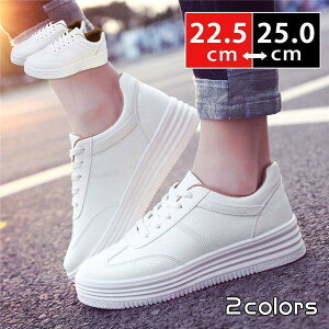 Xj[J[ fB[X EH[LO JWAV[Y tbg zCg C n w ʊw ʋ  t H  AE^[ ₷