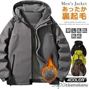 }Eep[J[ Y N h gbLO EChu[J[ StEFA {Au]  h oR oREFA AEghA p[J