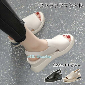 T_ fB[X X|[cT_ EFbW\[ X|T  Xj[J[T_ T}[ ʋC ₷  JWA V[Y