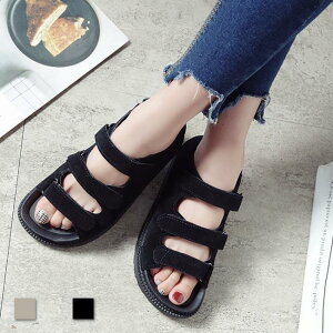 fB[X T_ RtH[g ăT_ T}[V[Y ؂ T}[T_  V[Y ~ }WbNe[v